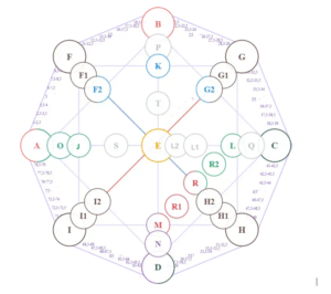 Matriz del Destino vacía
